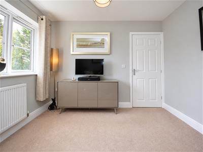 Picture 19